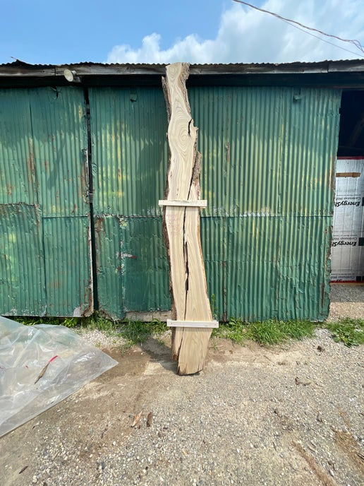 Catalpa Resin Slab