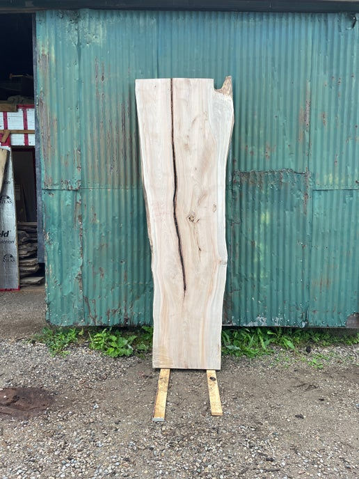 Maple Crotch Slab 2