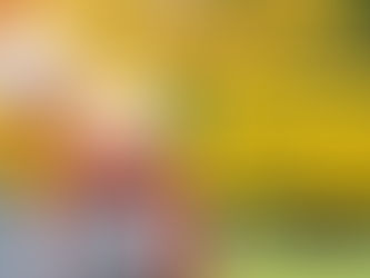 9 Things to Be Thankful For