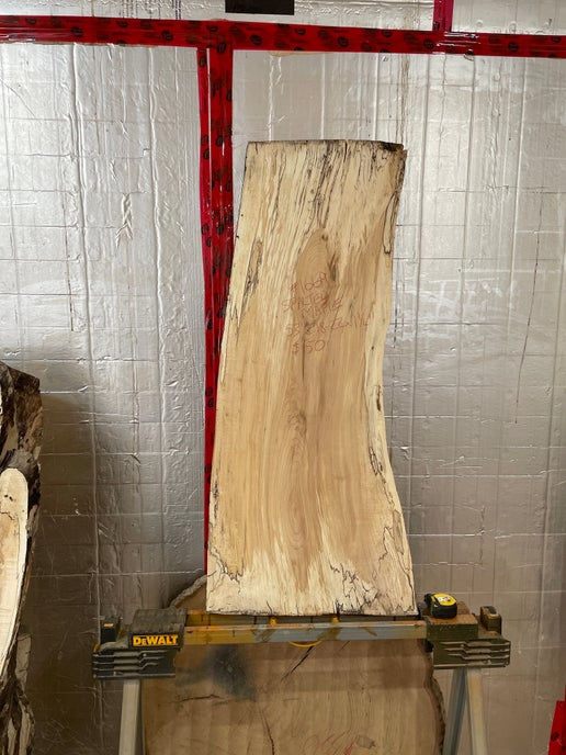 Spalted Maple Slab