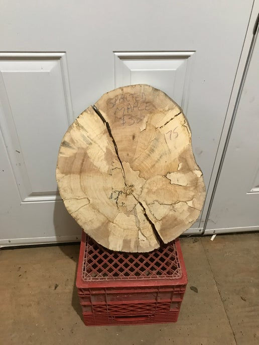 Spalted Maple Cookie