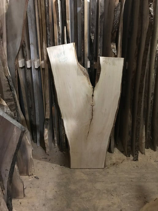 Maple Crotch Slab