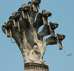 Skærmbillede 2021-05-11 kl. 09.34.50.png