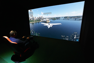 FLIGHT SIMULATOR