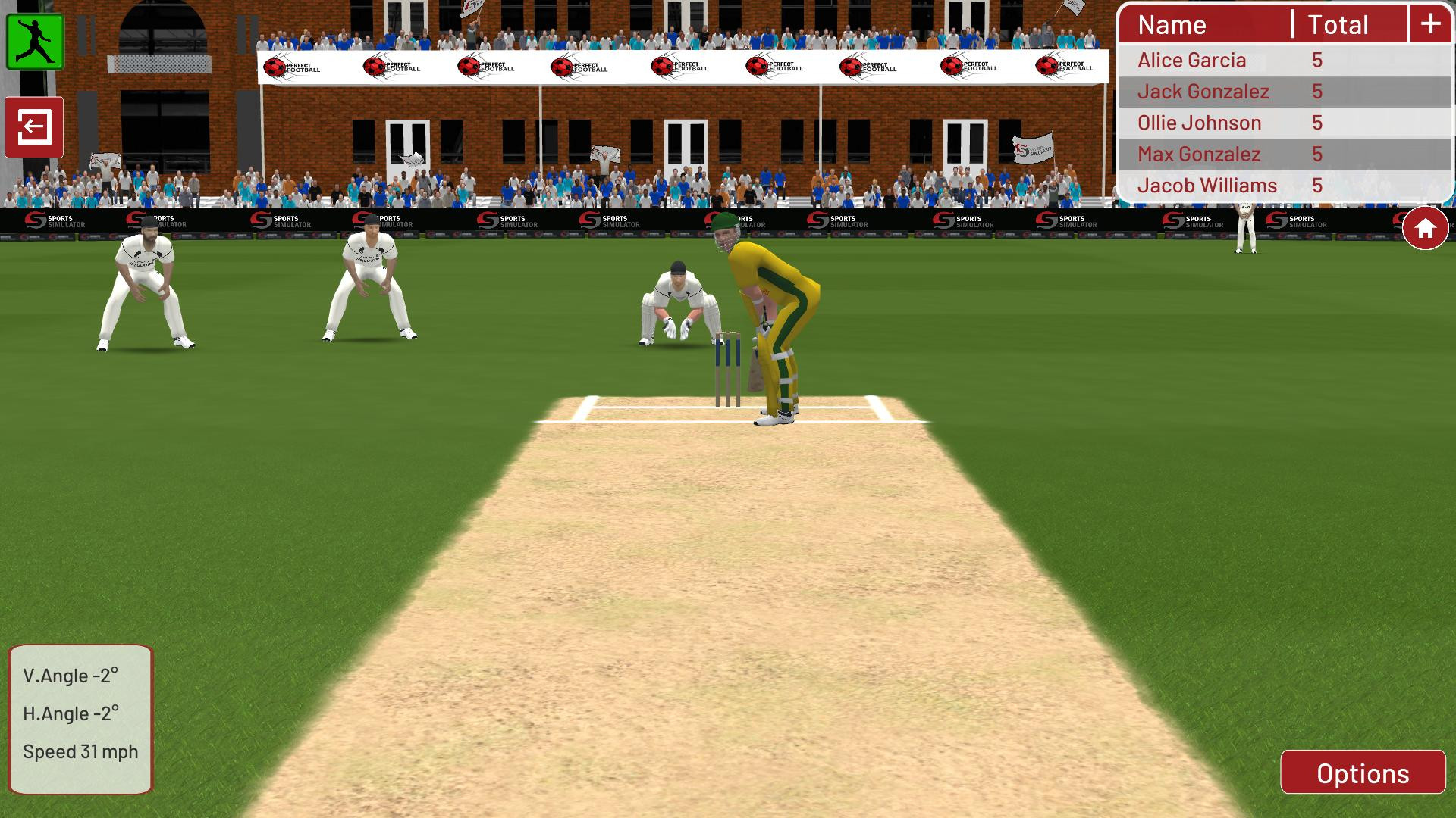 cricket bowling simulator