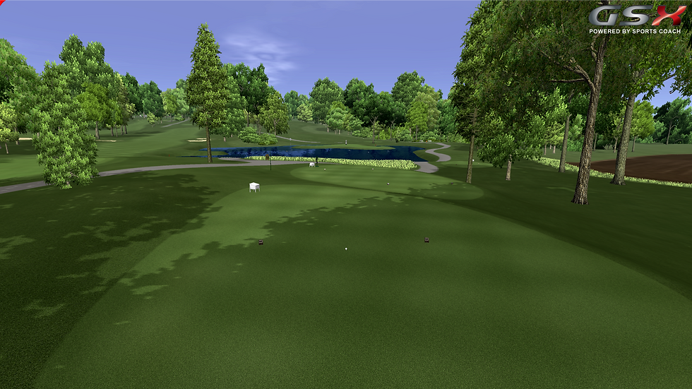 Sports Coach Golf Simulators - GSX Golf