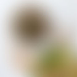 Risotto de quinoa aux champignons