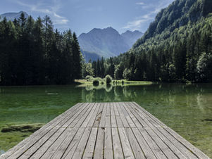 Spirituelle Ökologie - die Heiligkeit der Natur