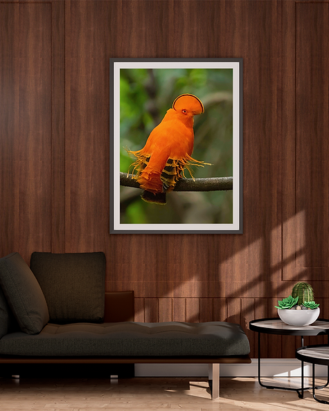 13_mockup.png