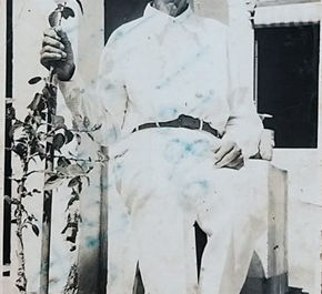 A sensibilidade eterniza o artista 
