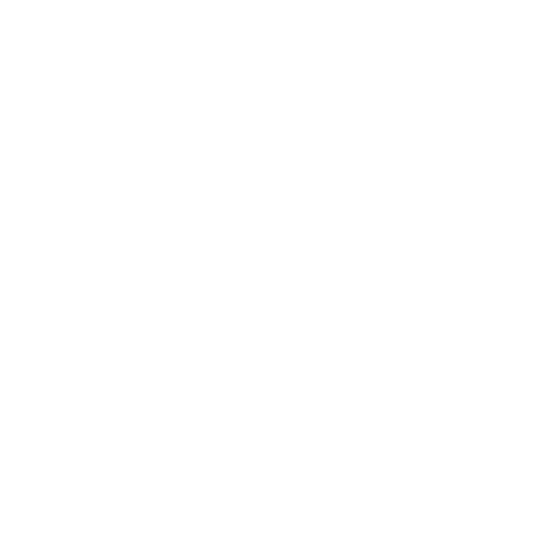 right_footer_logo_SS4A.png