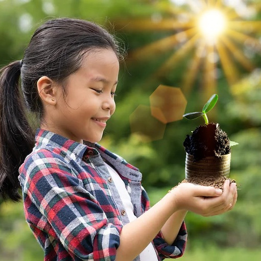 Tree Planting Money Tree