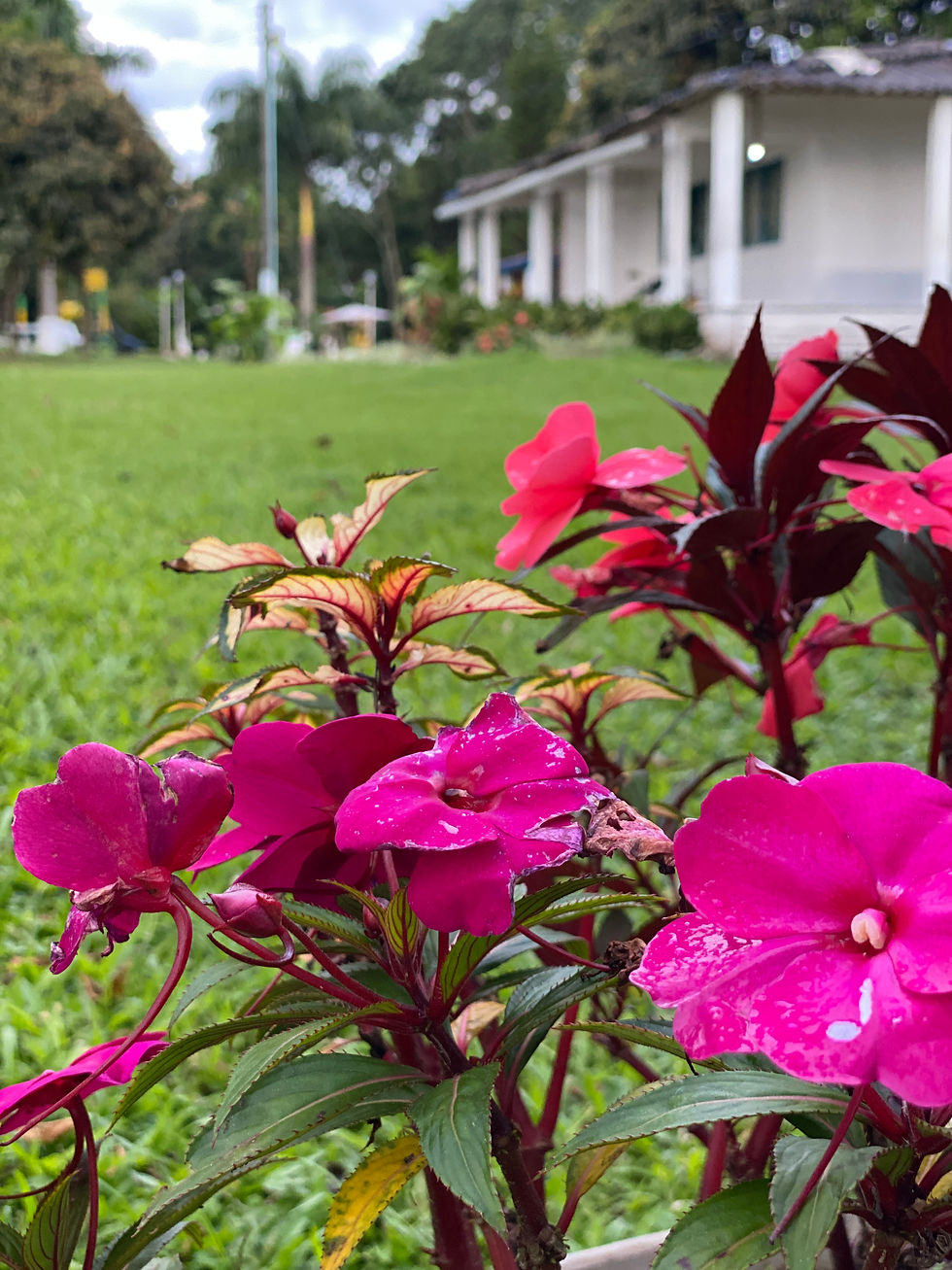 Jardin de la finca