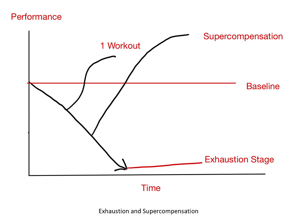 Adaptations to Training