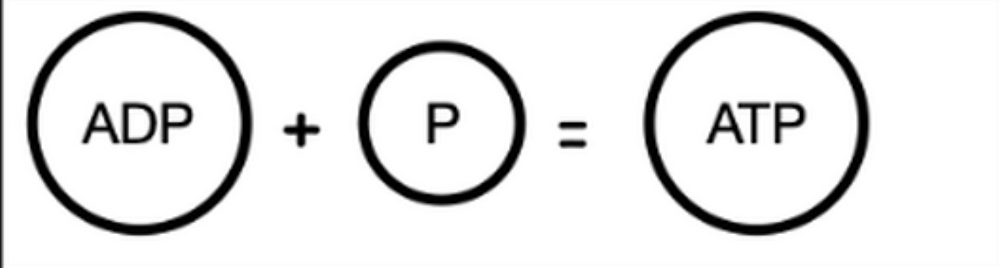 What is energy? Blog