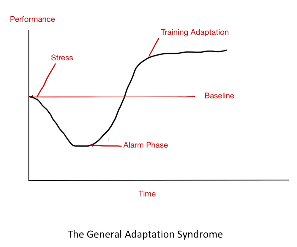 Adaptations to Training