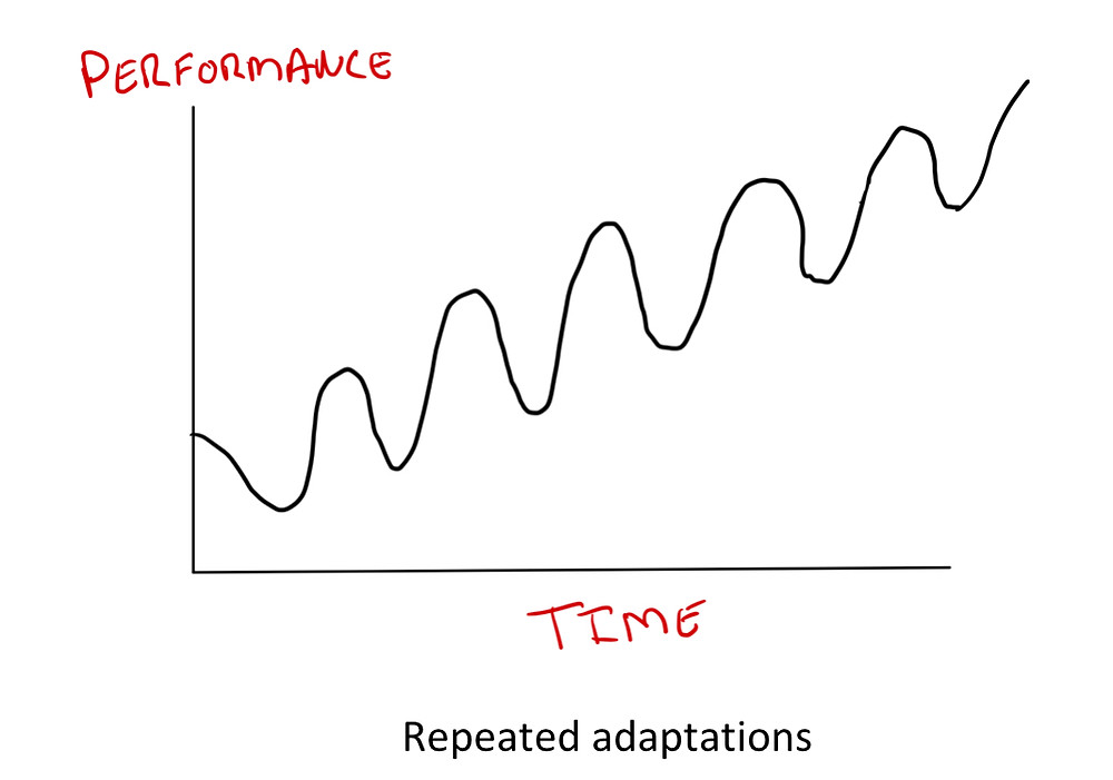 Adaptations to Training