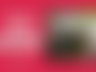 Chiem Bao mo Thay vo co bau