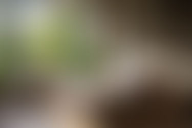 Bezpieczne mieszkanie dla osób starszych