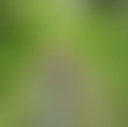 Trene kontakt-lyd