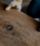 Installing Wooden Floor_edited_edited_ed