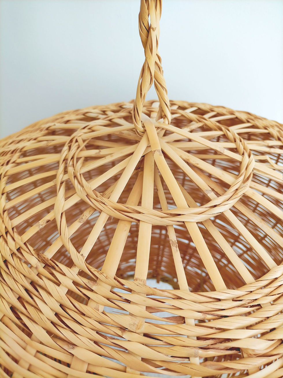 Miniature : luminaire roseau