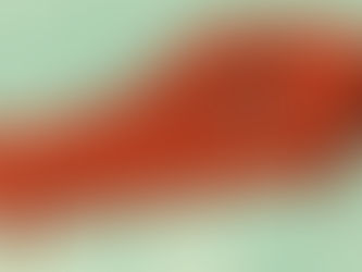 Psicoterapia: uma relação entre duas pessoas