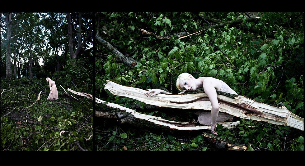 After the Devastation