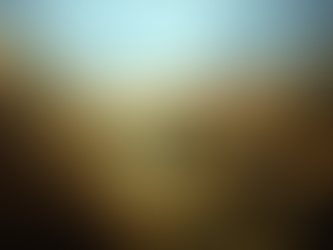 Sister Museums Commitment To Their Dioramas