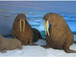 The Heart of Our Museum Is Being Left Behind