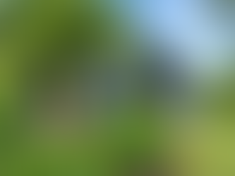 What Is Softwashing (And Why Everyone’s Talking About It)?