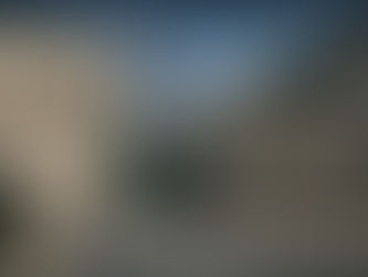 What the Public Record Shows About the Milwaukee Public Museum