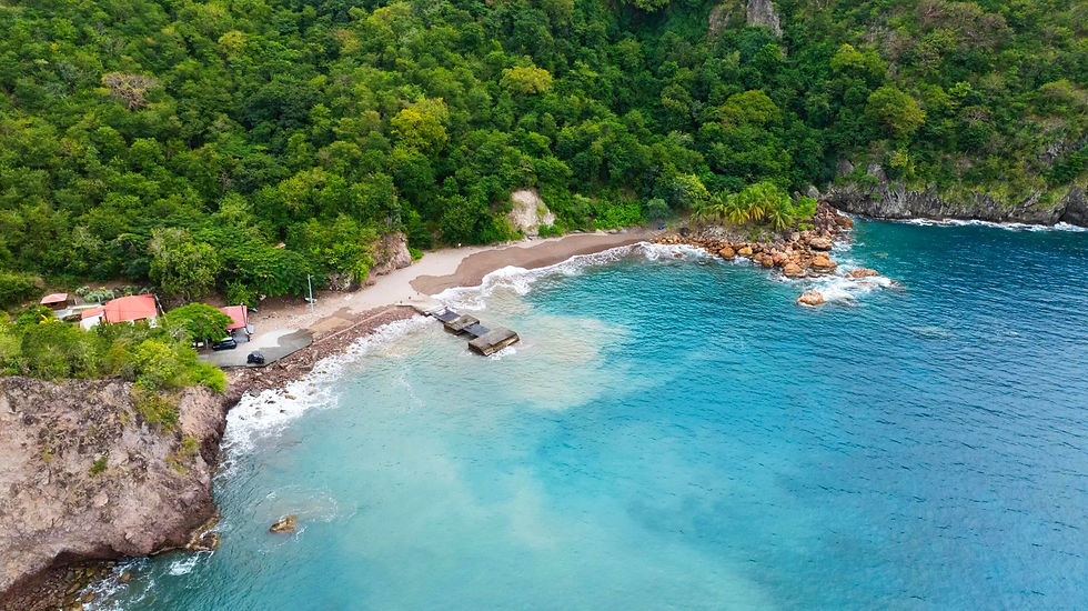 Plage Anse à Dos, eaux turquoises et sable brun bordée de végétation sur l’île de Terre-de-Haut, archipel des Saintes.