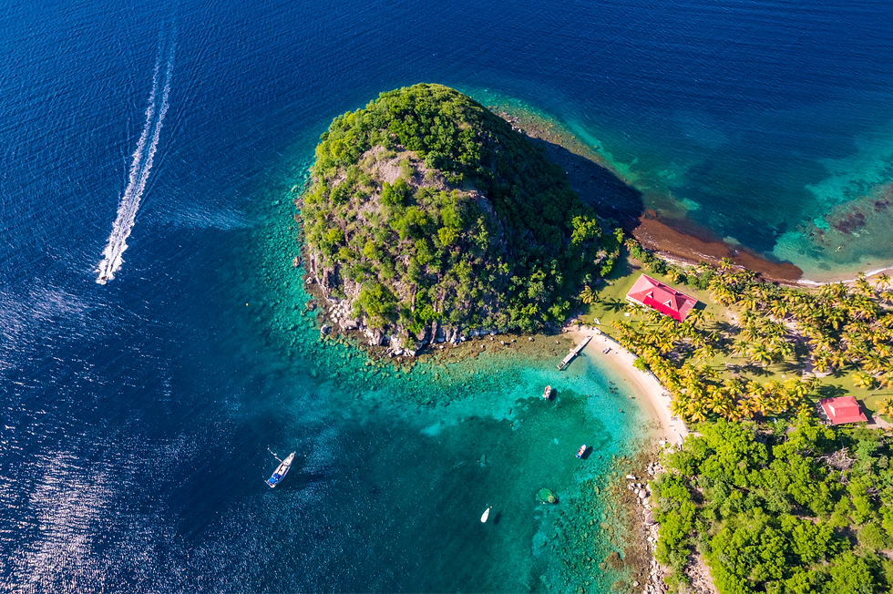 guadeloupe_26142_AURELIEN_BRUSINI_edited.png