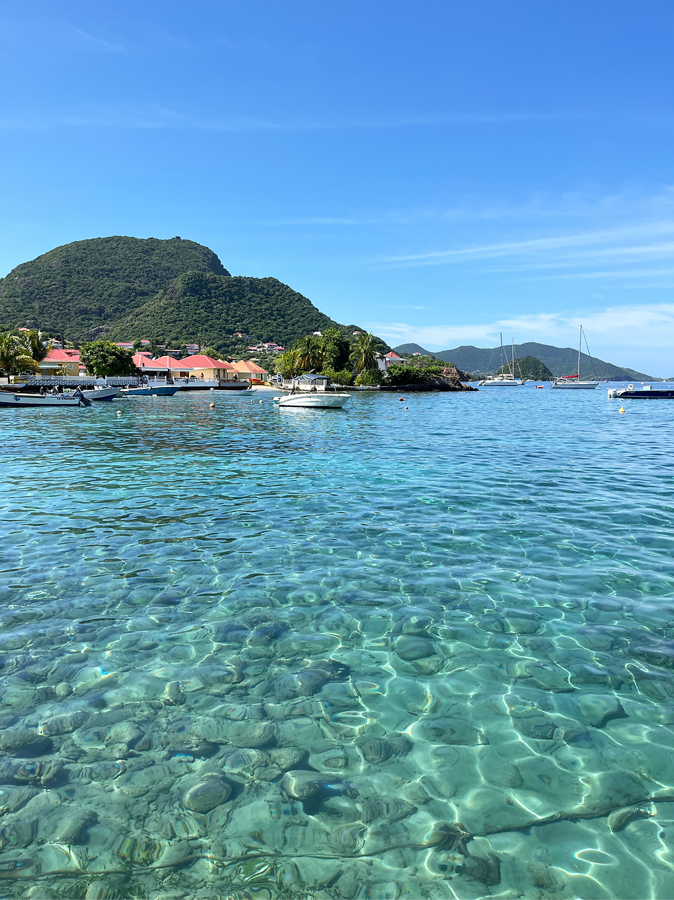 eaux-limpides-les-saintes_edited.png