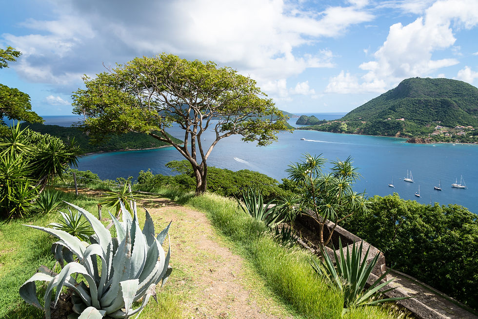 Vue panoramique, depuis un chemin en terre, sur la Baie des Saintes, en Guadeloupe.