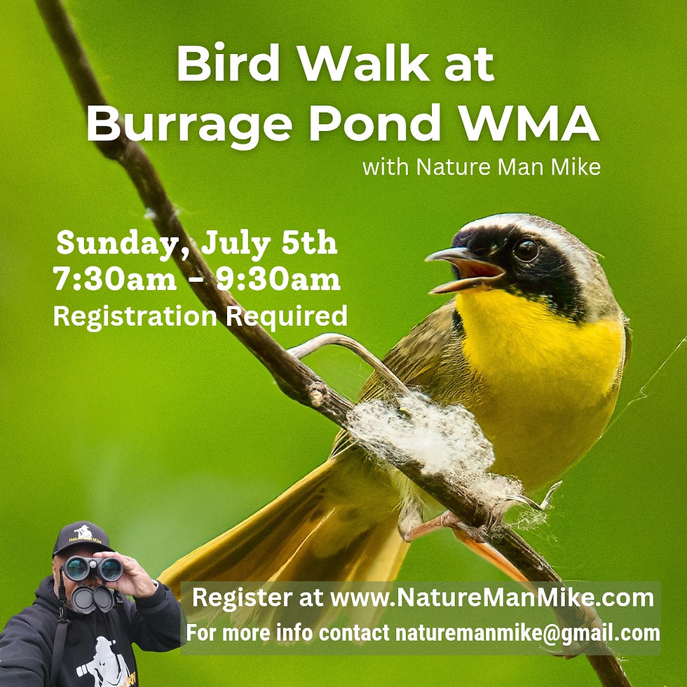 Burrage Pond Guided Bird Walk