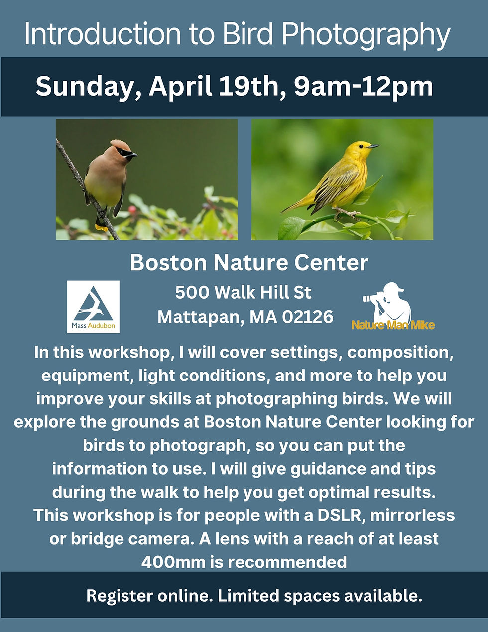 Introduction to Bird Photography