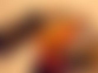 LebigKong en Bref...