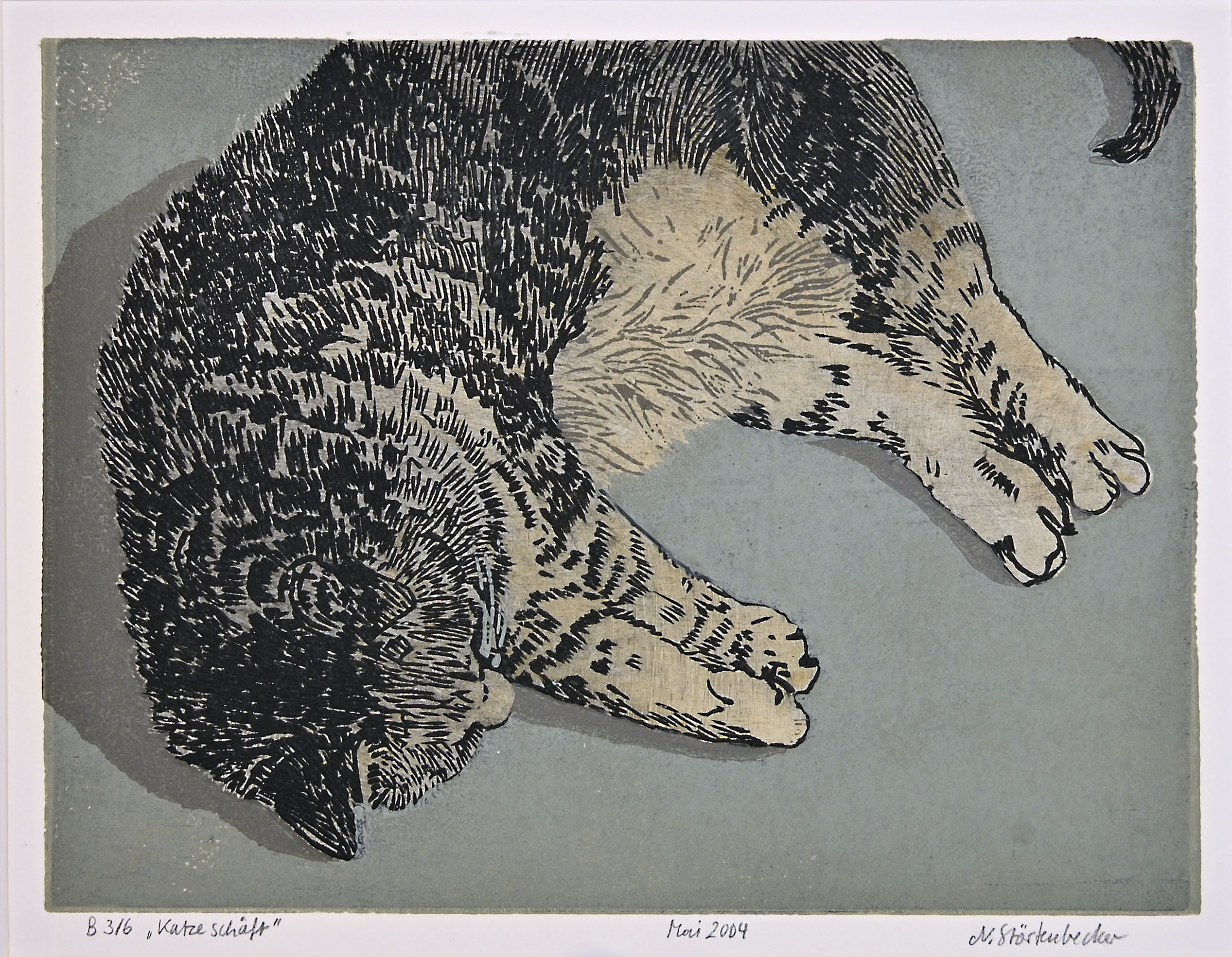 Störtenbecker, Nikolaus: Katze schläft