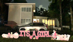 Image (8)