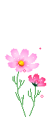 b7d676_54073b08f4324a32a7d1e4edf6650a3b.