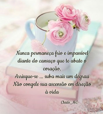 e2ff01fa4ef17729b913e9a51c7a9dd7.jpg