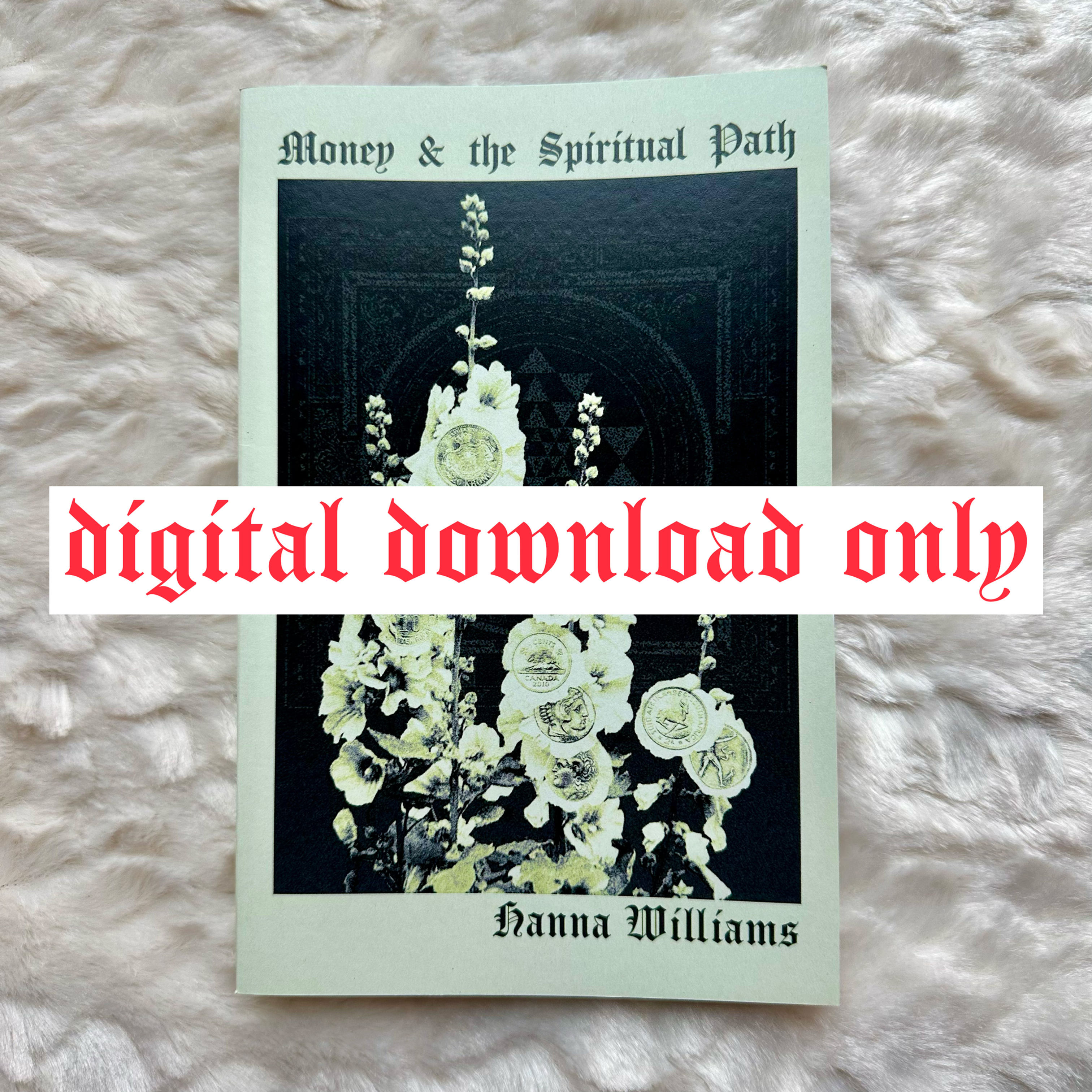 Money & the Spiritual Path (.pdf + audiobook)