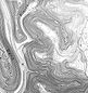 bw-topo.jpg