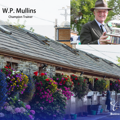 Delivery To Champion Trainer Willie Mullins Stables 🏇