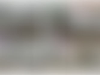The HorseQuest 5-Minute Photo Guide