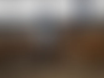 Selling a Dressage Horse - Top Tips from Lucinda Elliott 