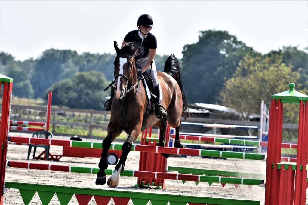 Equestrian Sales site Blog HorseQuest Hub Chipping Norton