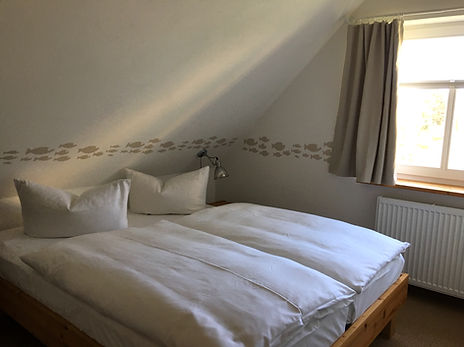 IMG_6166_bearbeitet.jpg
